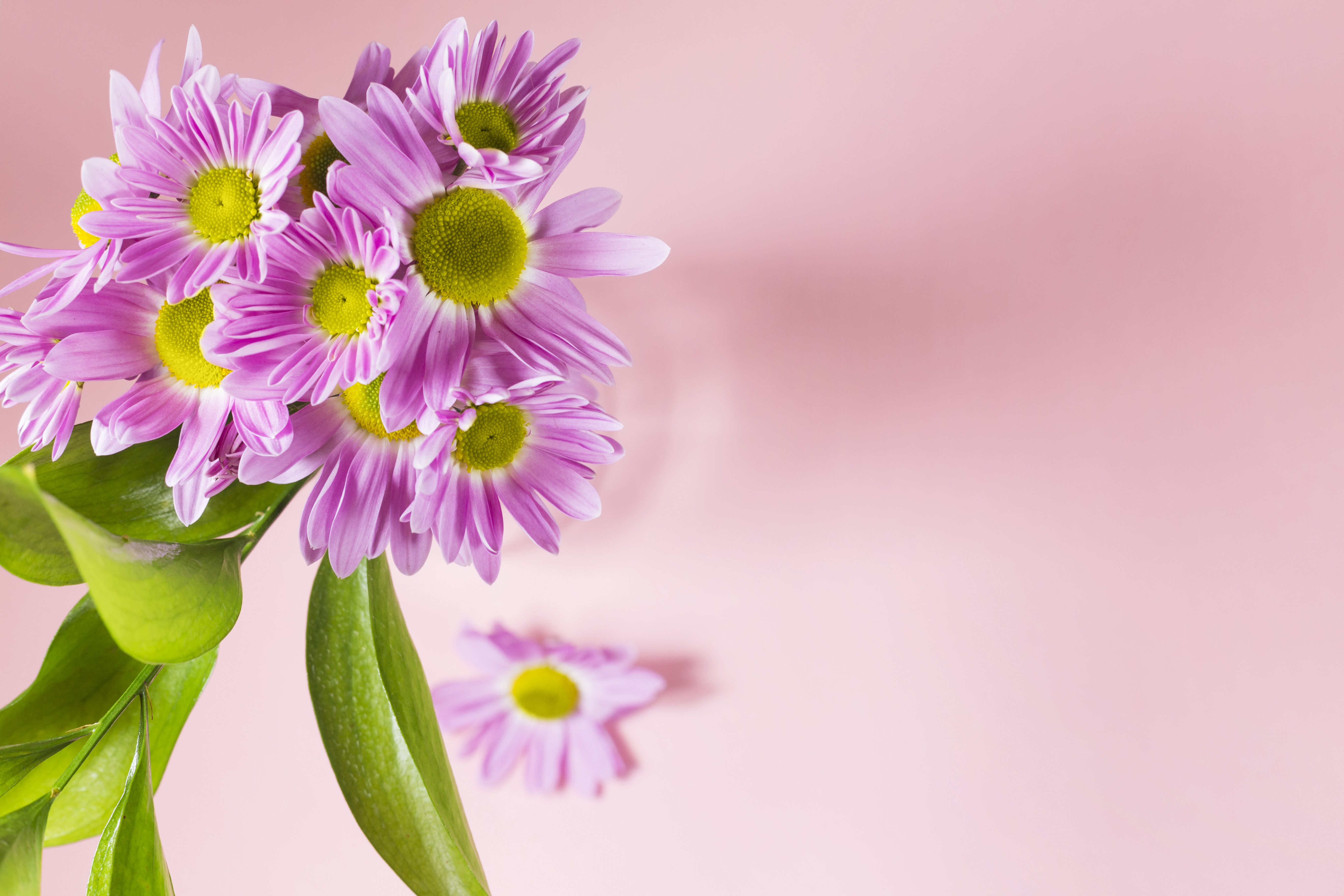 Stay True To Yourself